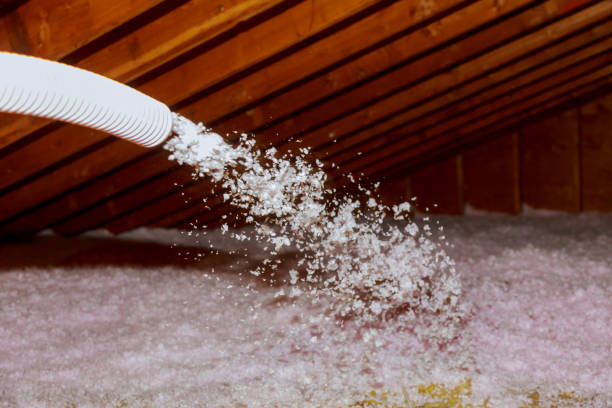 Types of Insulation We Offer in Blue Mountain, MS