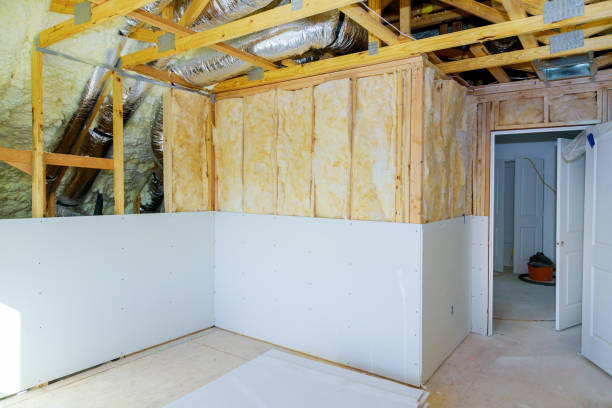 Best Cellulose Insulation in Blue Mountain, MS