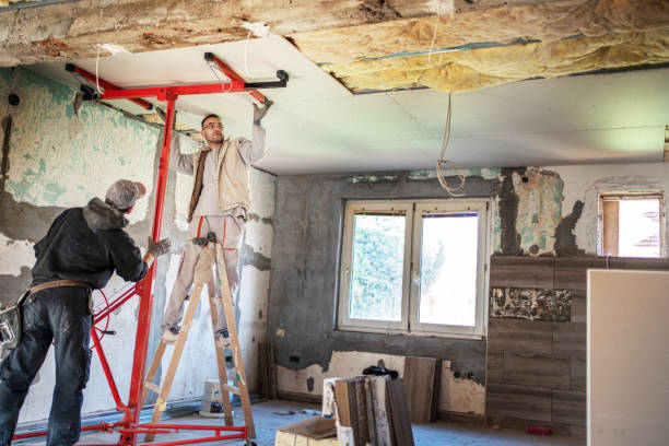 Professional Insulation Contractor in Blue Mountain, MS