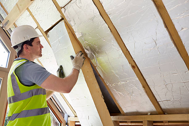 Best DIY Insulation Kits and Guidance in Blue Mountain, MS