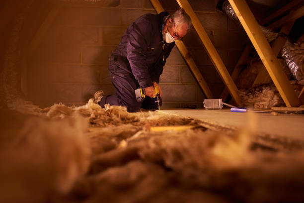 Best Specialized Insulation Services in Blue Mountain, MS